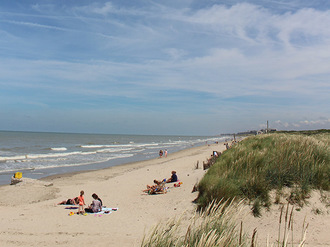 plage-camping-perroquet.jpg